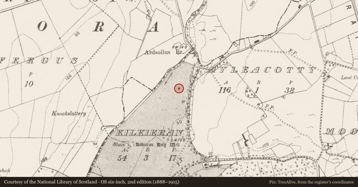 Ordnance Survey six-inch map, 2nd edition (1888–1915) covering the location of Standing stone, Kilkieran, County Clare, with a pin at the register's coordinates
