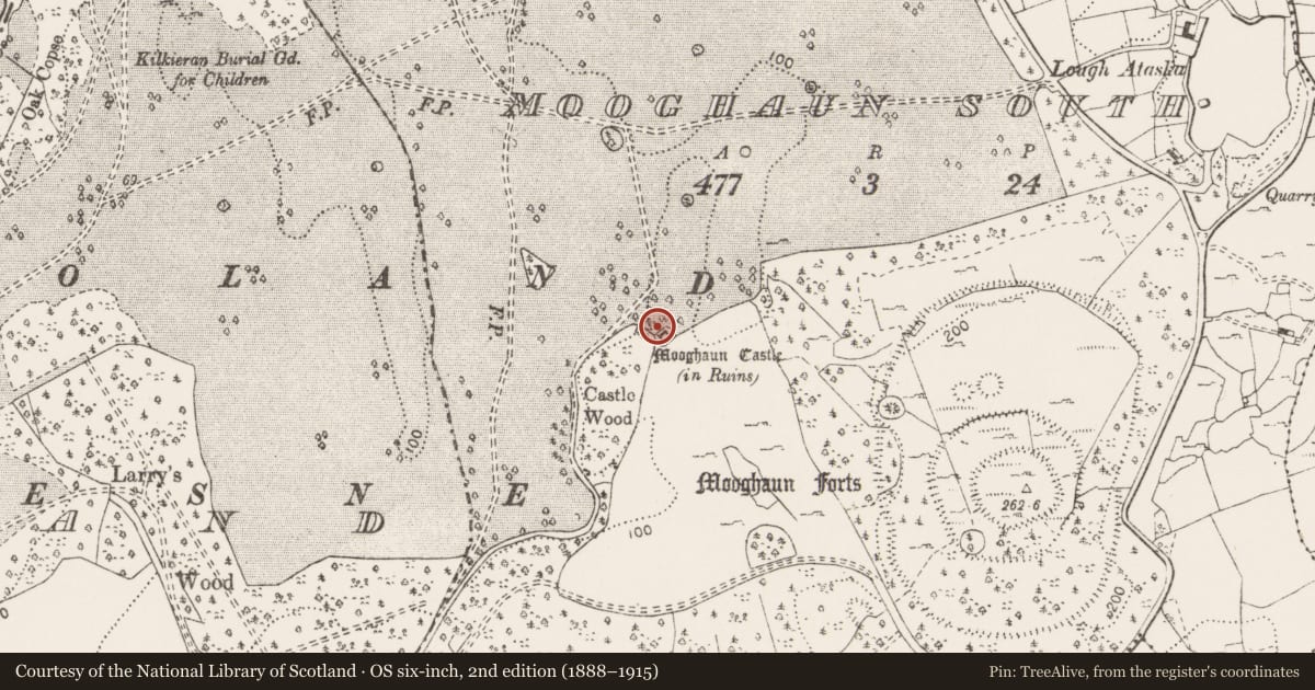 Ordnance Survey six-inch map, 2nd edition (1888–1915) covering the location of Earthwork, Mooghaun South, County Clare, with a pin at the register's coordinates
