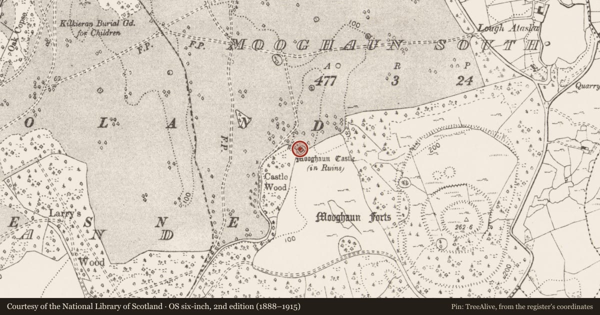 Ordnance Survey six-inch map, 2nd edition (1888–1915) covering the location of Castle - tower house, Mooghaun South, County Clare, with a pin at the register's coordinates
