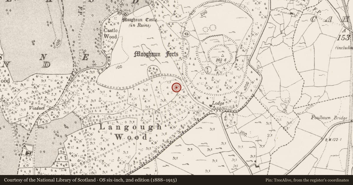 Ordnance Survey six-inch map, 2nd edition (1888–1915) covering the location of Ringfort - cashel, Mooghaun South, County Clare, with a pin at the register's coordinates