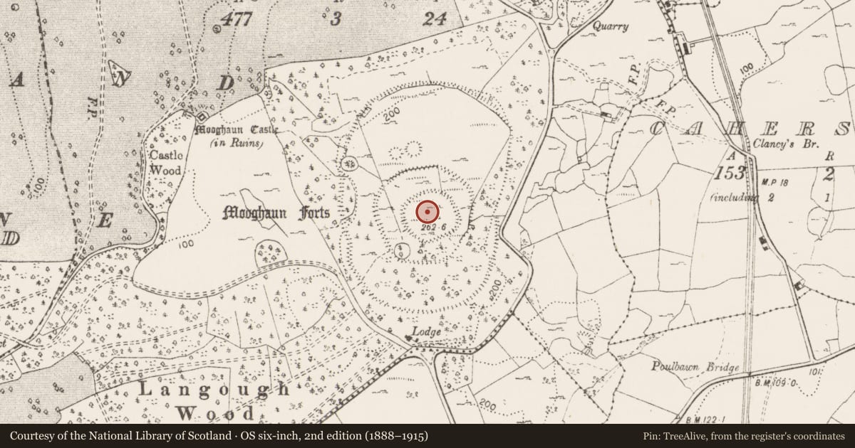Ordnance Survey six-inch map, 2nd edition (1888–1915) covering the location of Hillfort, Mooghaun South, County Clare, with a pin at the register's coordinates
