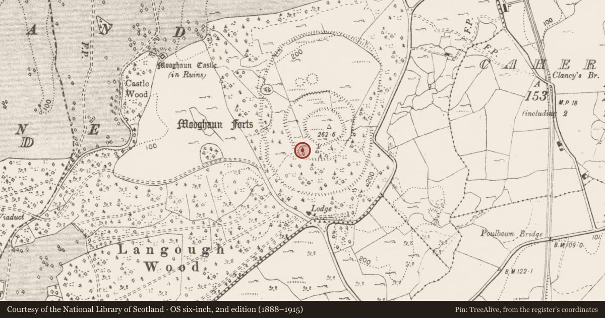Ordnance Survey six-inch map, 2nd edition (1888–1915) covering the location of Ringfort - cashel, Mooghaun South, County Clare, with a pin at the register's coordinates