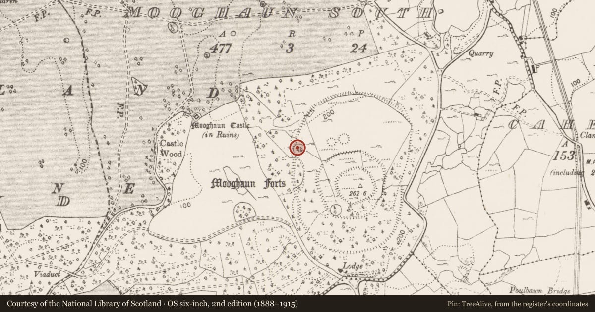 Ordnance Survey six-inch map, 2nd edition (1888–1915) covering the location of Ringfort - cashel, Mooghaun South, County Clare, with a pin at the register's coordinates