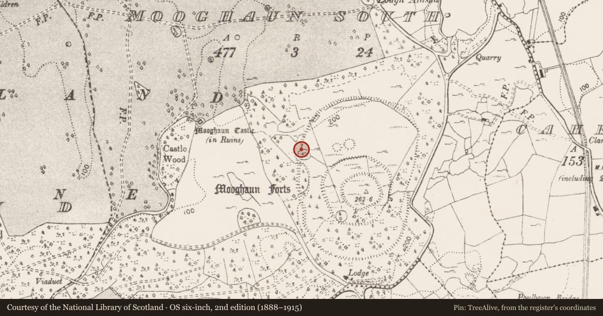 Ordnance Survey six-inch map, 2nd edition (1888–1915) covering the location of Hut site, Mooghaun South, County Clare, with a pin at the register's coordinates