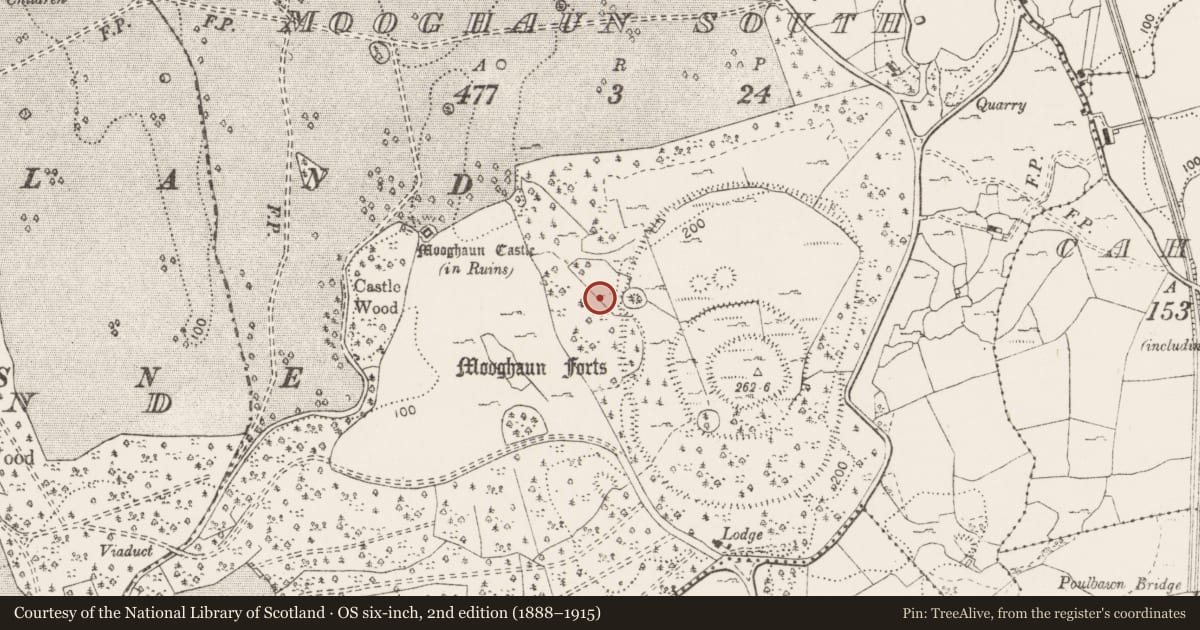 Ordnance Survey six-inch map, 2nd edition (1888–1915) covering the location of Hut site, Mooghaun South, County Clare, with a pin at the register's coordinates