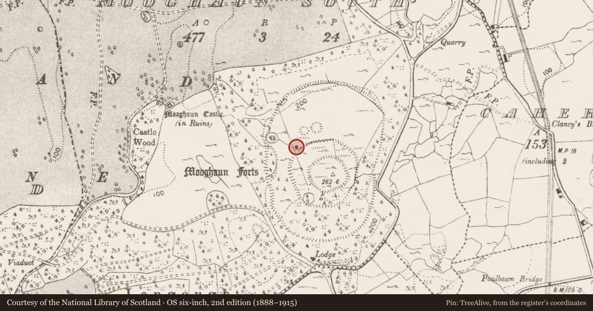 Ordnance Survey six-inch map, 2nd edition (1888–1915) covering the location of Enclosure, Mooghaun South, County Clare, with a pin at the register's coordinates