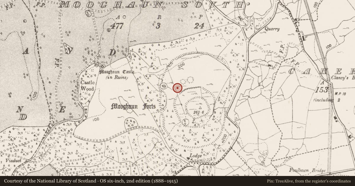 Ordnance Survey six-inch map, 2nd edition (1888–1915) covering the location of Enclosure, Mooghaun South, County Clare, with a pin at the register's coordinates