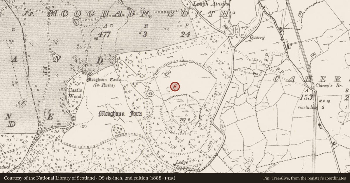 Ordnance Survey six-inch map, 2nd edition (1888–1915) covering the location of Enclosure, Mooghaun South, County Clare, with a pin at the register's coordinates