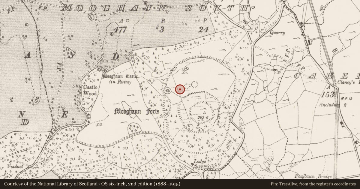 Ordnance Survey six-inch map, 2nd edition (1888–1915) covering the location of Cairn - unclassified, Mooghaun South, County Clare, with a pin at the register's coordinates