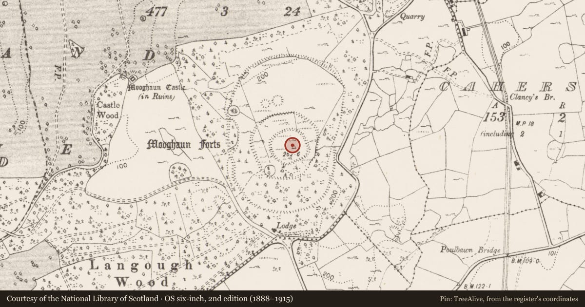 Ordnance Survey six-inch map, 2nd edition (1888–1915) covering the location of Cairn - unclassified, Mooghaun South, County Clare, with a pin at the register's coordinates