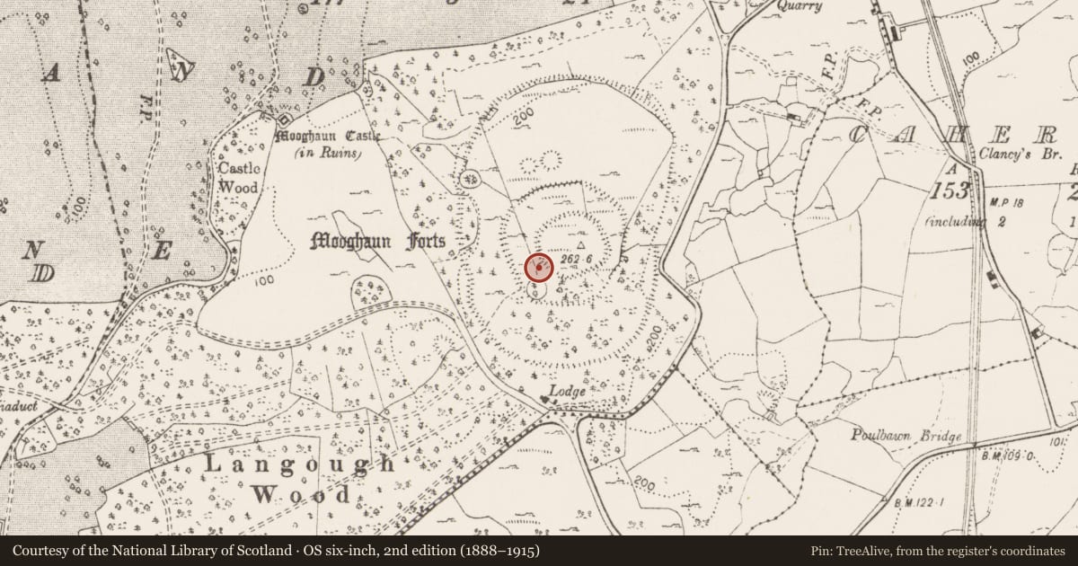 Ordnance Survey six-inch map, 2nd edition (1888–1915) covering the location of Hut site, Mooghaun South, County Clare, with a pin at the register's coordinates