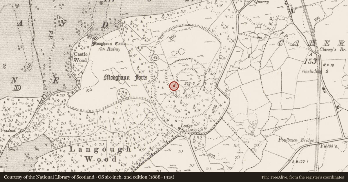 Ordnance Survey six-inch map, 2nd edition (1888–1915) covering the location of Hut site, Mooghaun South, County Clare, with a pin at the register's coordinates