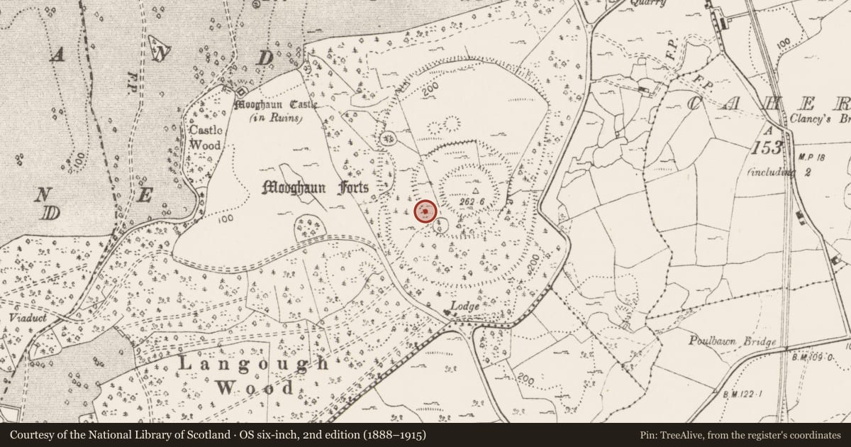 Ordnance Survey six-inch map, 2nd edition (1888–1915) covering the location of Hut site, Mooghaun South, County Clare, with a pin at the register's coordinates
