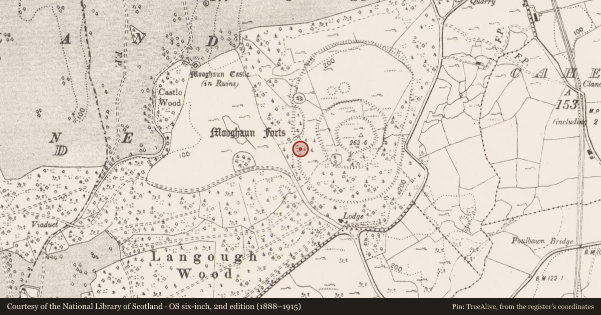 Ordnance Survey six-inch map, 2nd edition (1888–1915) covering the location of Hut site, Mooghaun South, County Clare, with a pin at the register's coordinates