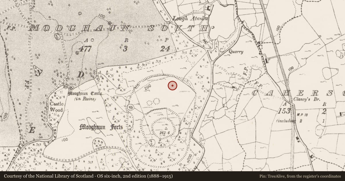 Ordnance Survey six-inch map, 2nd edition (1888–1915) covering the location of Quarry, Mooghaun South, County Clare, with a pin at the register's coordinates