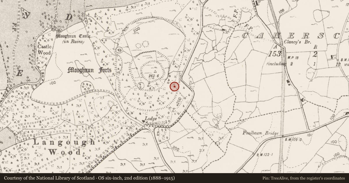 Ordnance Survey six-inch map, 2nd edition (1888–1915) covering the location of Quarry, Mooghaun South, County Clare, with a pin at the register's coordinates
