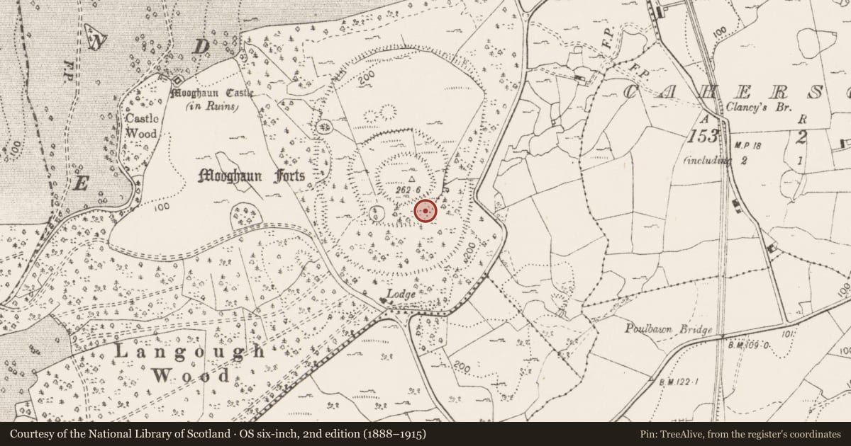 Ordnance Survey six-inch map, 2nd edition (1888–1915) covering the location of Hut site, Mooghaun South, County Clare, with a pin at the register's coordinates
