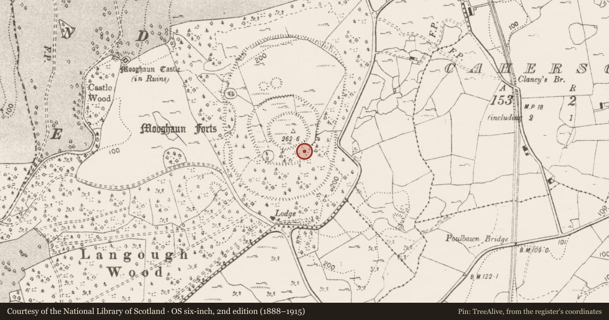 Ordnance Survey six-inch map, 2nd edition (1888–1915) covering the location of Hut site, Mooghaun South, County Clare, with a pin at the register's coordinates