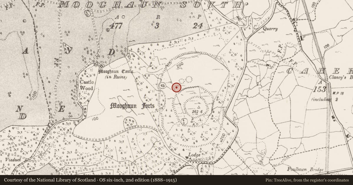 Ordnance Survey six-inch map, 2nd edition (1888–1915) covering the location of Cairn - unclassified, Mooghaun South, County Clare, with a pin at the register's coordinates