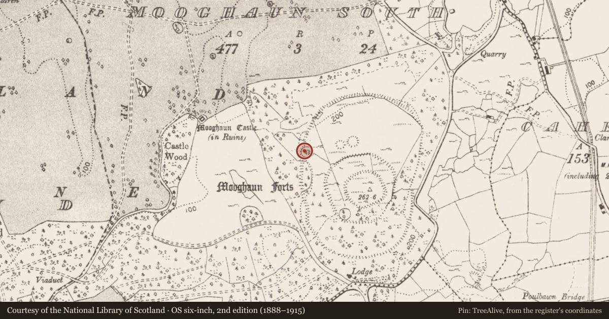 Ordnance Survey six-inch map, 2nd edition (1888–1915) covering the location of Platform, Mooghaun South, County Clare, with a pin at the register's coordinates
