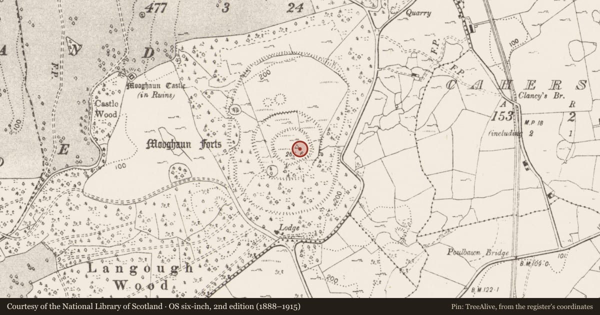 Ordnance Survey six-inch map, 2nd edition (1888–1915) covering the location of Metalworking site, Mooghaun South, County Clare, with a pin at the register's coordinates