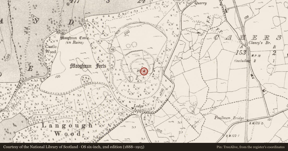 Ordnance Survey six-inch map, 2nd edition (1888–1915) covering the location of Field boundary, Mooghaun South, County Clare, with a pin at the register's coordinates