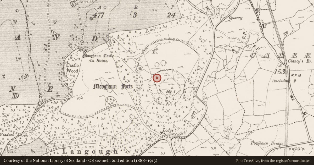 Ordnance Survey six-inch map, 2nd edition (1888–1915) covering the location of Field boundary, Mooghaun South, County Clare, with a pin at the register's coordinates