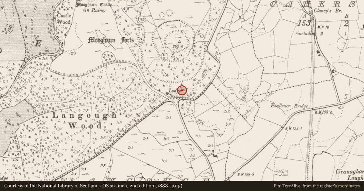 Ordnance Survey six-inch map, 2nd edition (1888–1915) covering the location of Enclosure, Mooghaun South, County Clare, with a pin at the register's coordinates