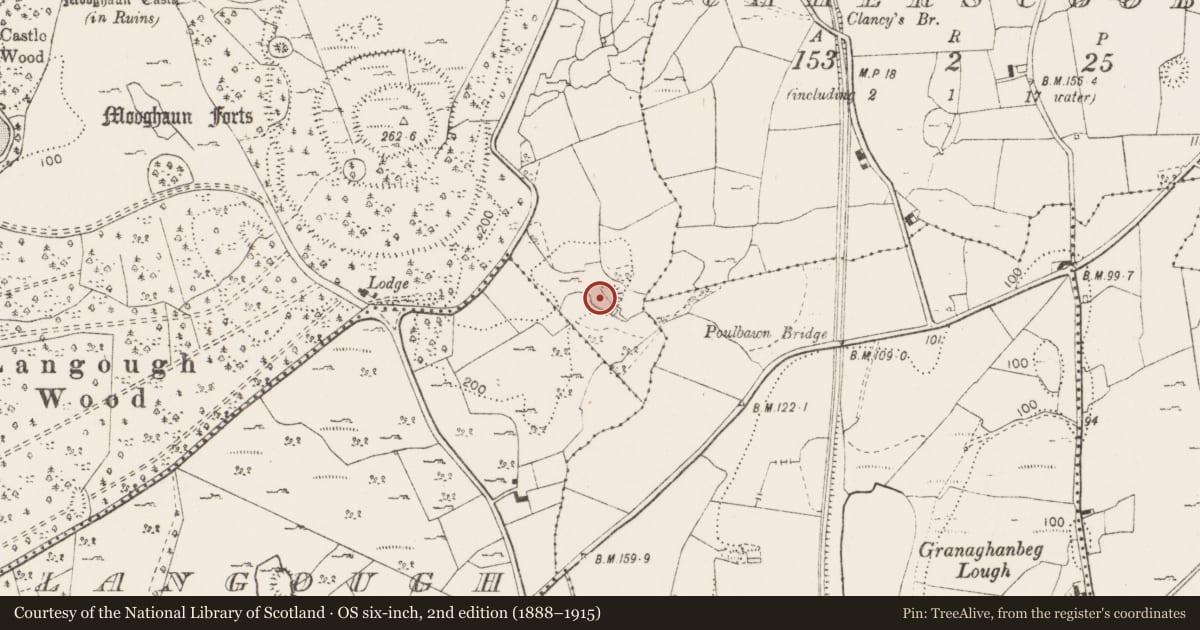 Ordnance Survey six-inch map, 2nd edition (1888–1915) covering the location of Ringfort - cashel, Mooghaun South, County Clare, with a pin at the register's coordinates