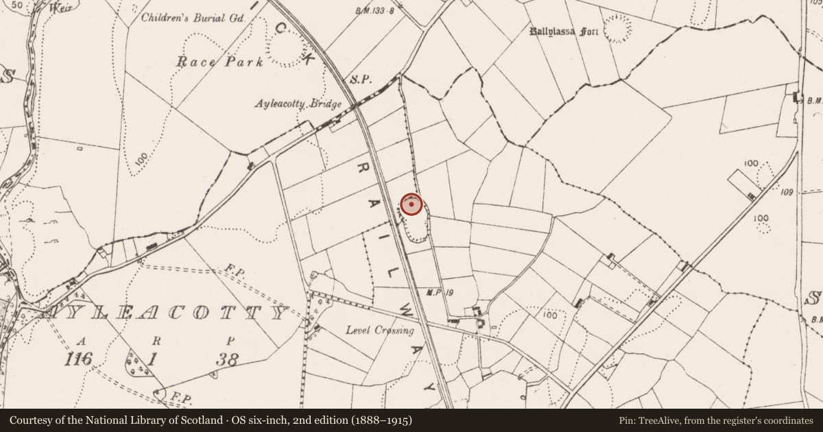Ordnance Survey six-inch map, 2nd edition (1888–1915) covering the location of Ringfort - rath, Ayleacotty, Mooghaun North, County Clare, with a pin at the register's coordinates