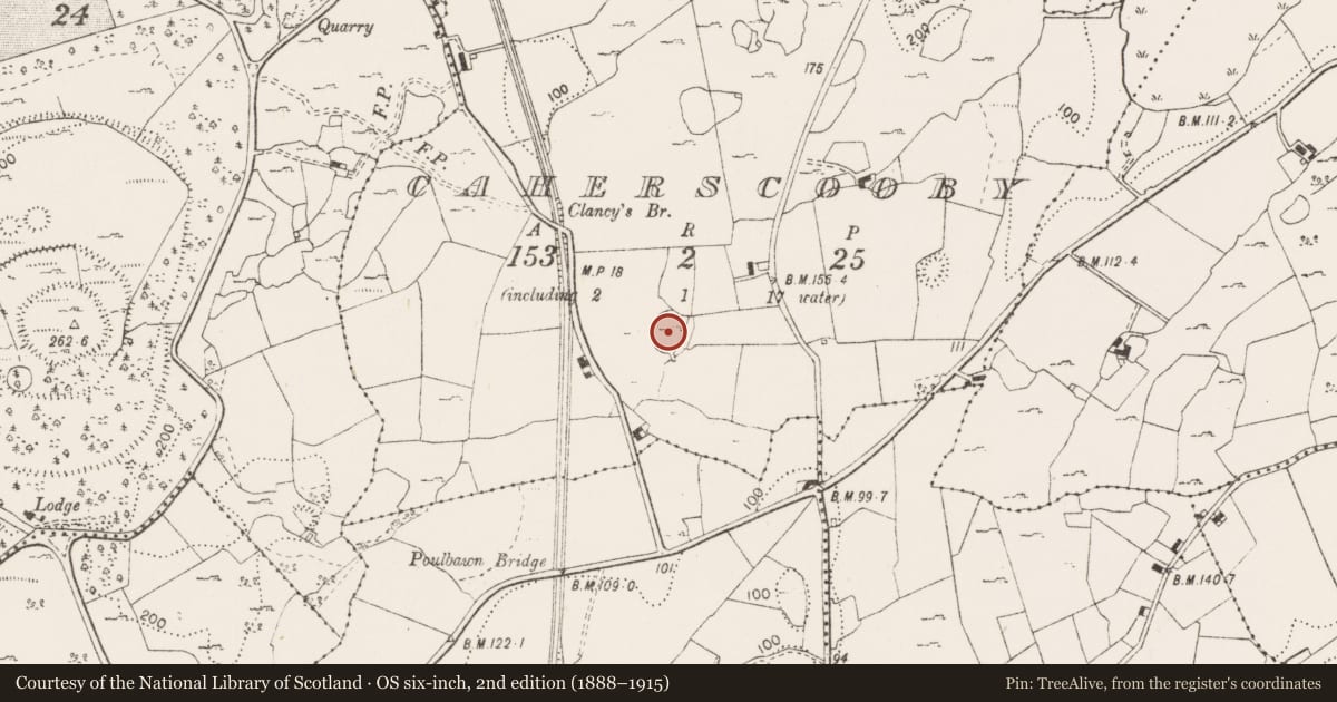 Ordnance Survey six-inch map, 2nd edition (1888–1915) covering the location of Ringfort - cashel, Caherscooby, County Clare, with a pin at the register's coordinates