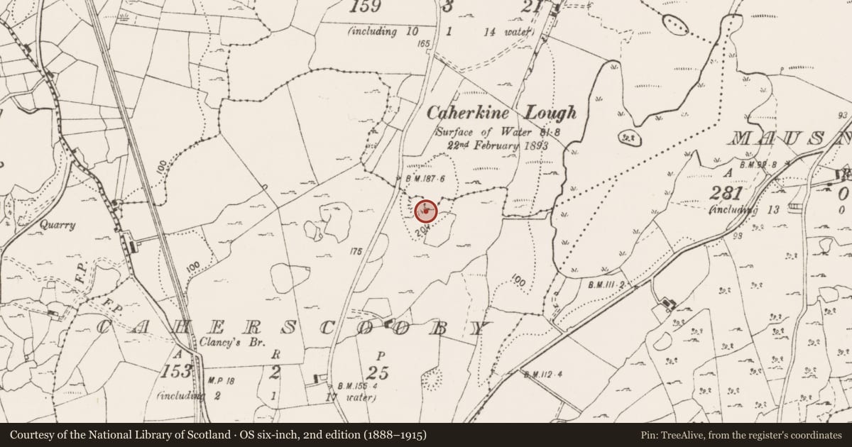 Ordnance Survey six-inch map, 2nd edition (1888–1915) covering the location of Hut site, Caherscooby, County Clare, with a pin at the register's coordinates