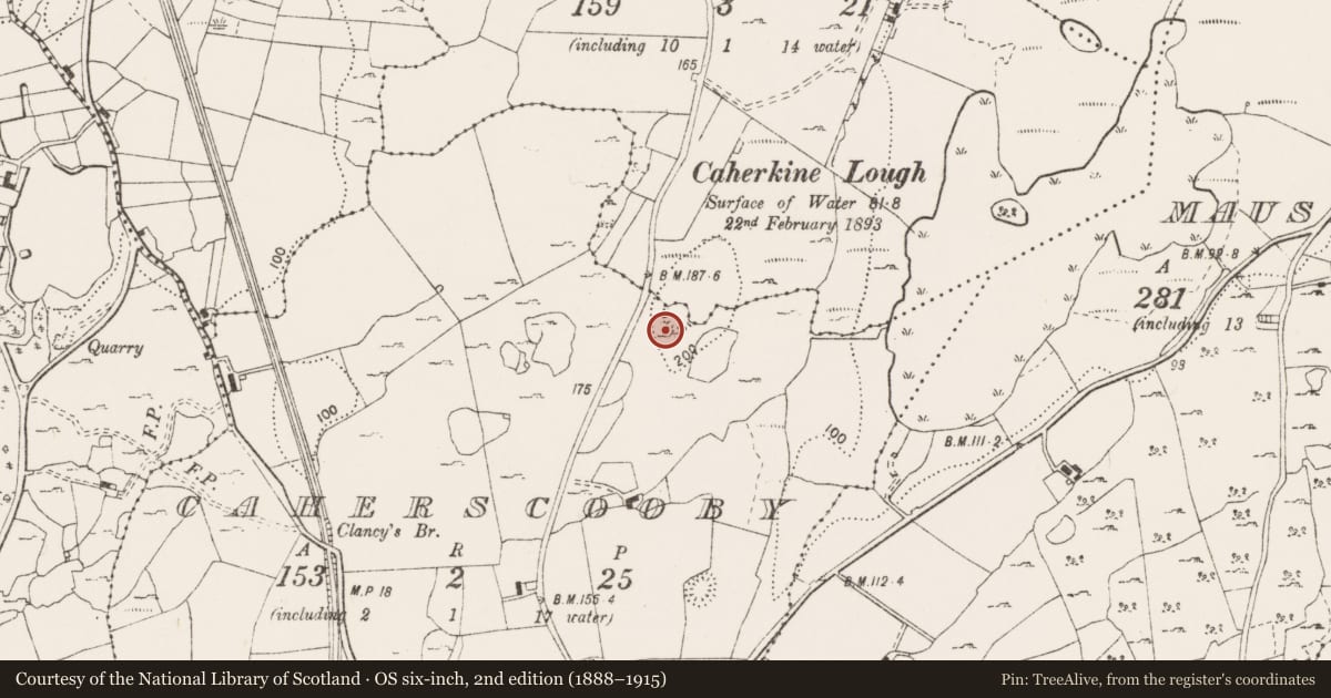Ordnance Survey six-inch map, 2nd edition (1888–1915) covering the location of Road - road/trackway, Caherscooby, County Clare, with a pin at the register's coordinates