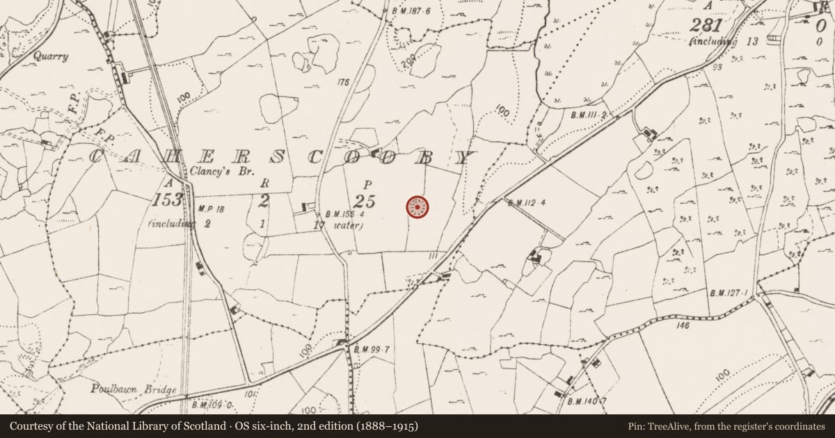Ordnance Survey six-inch map, 2nd edition (1888–1915) covering the location of Ringfort - cashel, Caherscooby, County Clare, with a pin at the register's coordinates
