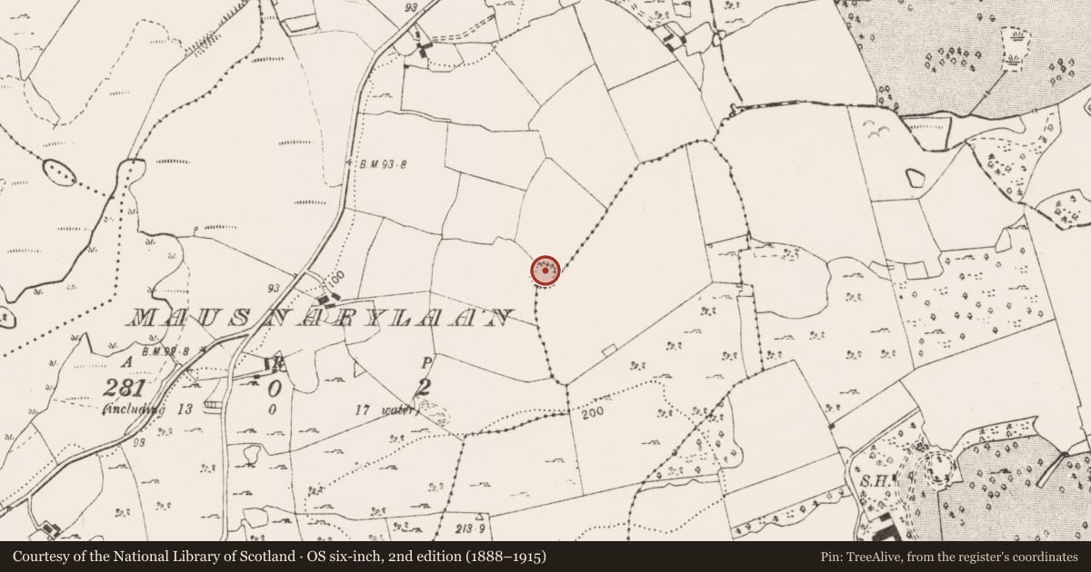 Ordnance Survey six-inch map, 2nd edition (1888–1915) covering the location of Ringfort - cashel, Mausnarylaan, County Clare, with a pin at the register's coordinates