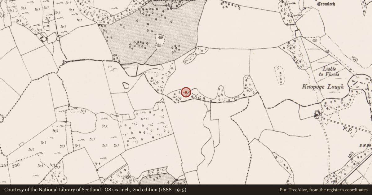 Ordnance Survey six-inch map, 2nd edition (1888–1915) covering the location of Burial ground, Knopoge, County Clare, with a pin at the register's coordinates