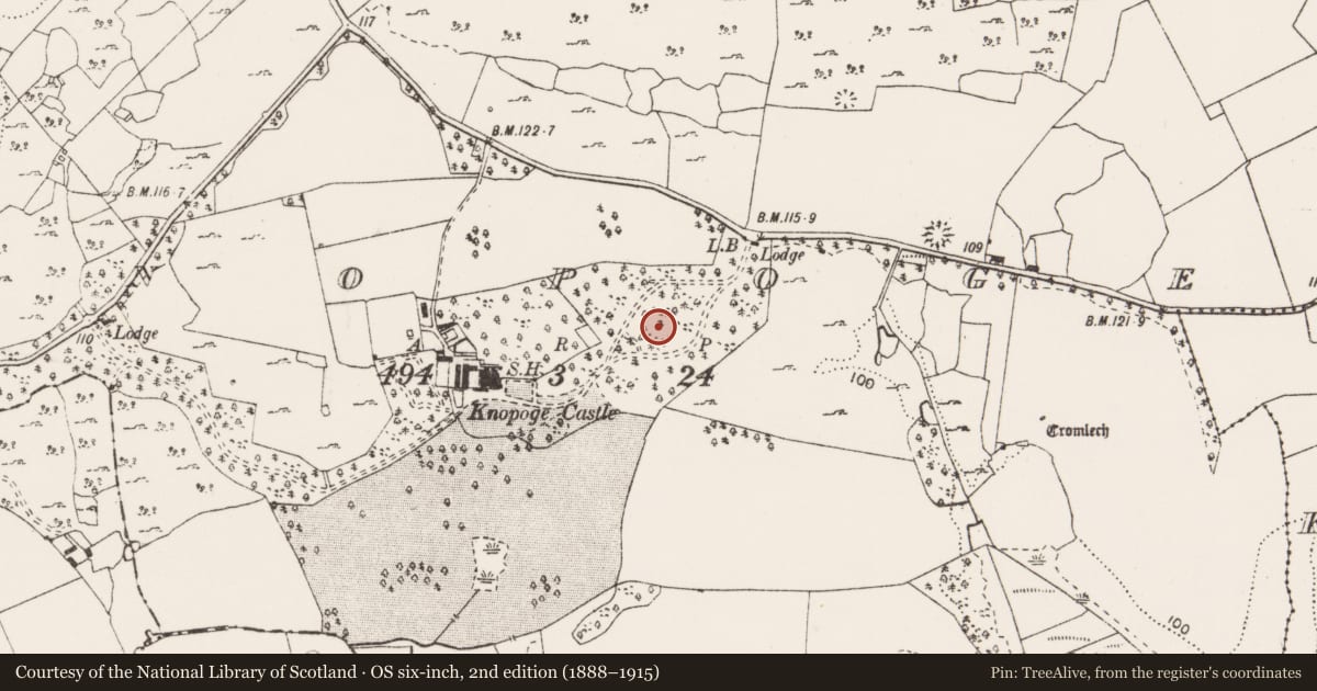 Ordnance Survey six-inch map, 2nd edition (1888–1915) covering the location of Standing stone, Knopoge, County Clare, with a pin at the register's coordinates