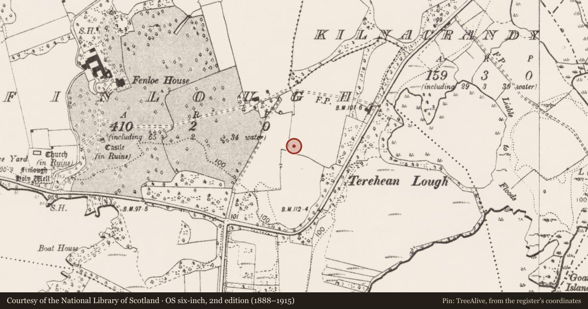 Ordnance Survey six-inch map, 2nd edition (1888–1915) covering the location of Enclosure, Finlough, County Clare, with a pin at the register's coordinates