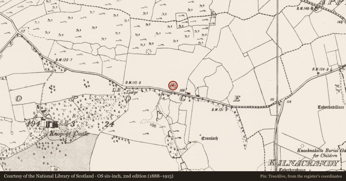 Ordnance Survey six-inch map, 2nd edition (1888–1915) covering the location of Barrow - embanked barrow, Knopoge, County Clare, with a pin at the register's coordinates