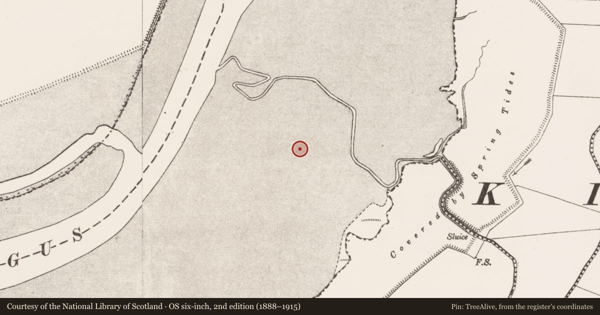 Ordnance Survey six-inch map, 2nd edition (1888–1915) covering the location of Crannog, Islandavanna Upper, County Clare, with a pin at the register's coordinates