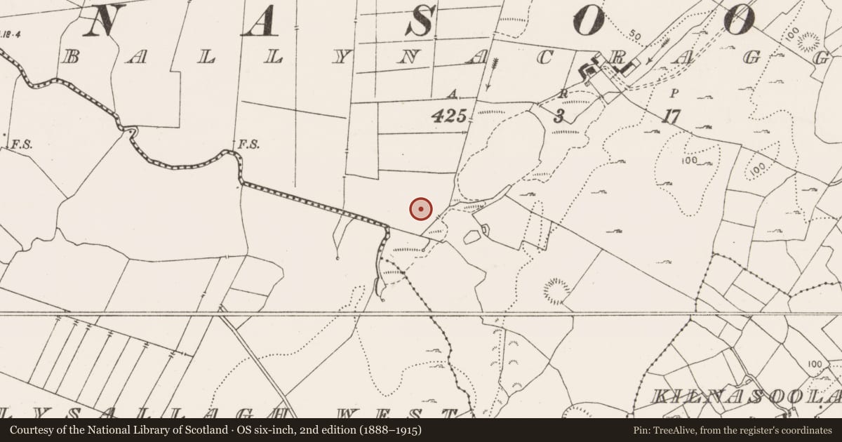 Ordnance Survey six-inch map, 2nd edition (1888–1915) covering the location of Mound, Ballynacragga, County Clare, with a pin at the register's coordinates