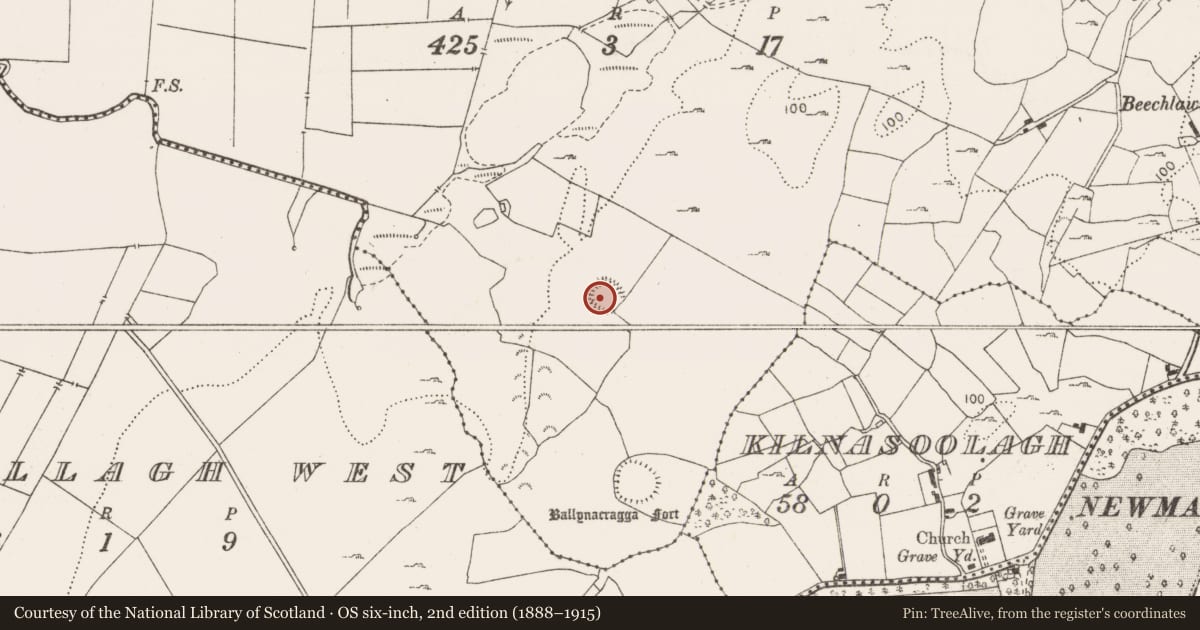 Ordnance Survey six-inch map, 2nd edition (1888–1915) covering the location of Ringfort - cashel, Ballynacragga, County Clare, with a pin at the register's coordinates