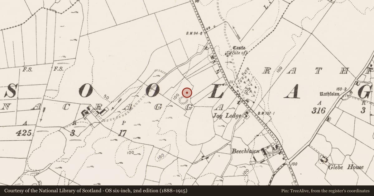 Ordnance Survey six-inch map, 2nd edition (1888–1915) covering the location of Field system, Ballynacragga, County Clare, with a pin at the register's coordinates
