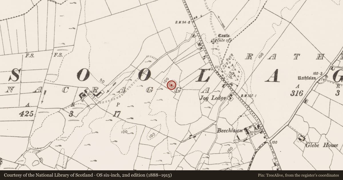 Ordnance Survey six-inch map, 2nd edition (1888–1915) covering the location of Enclosure, Ballynacragga, County Clare, with a pin at the register's coordinates
