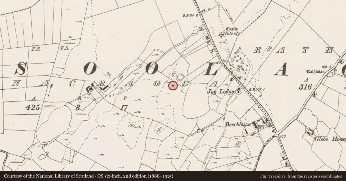 Ordnance Survey six-inch map, 2nd edition (1888–1915) covering the location of Enclosure, Ballynacragga, County Clare, with a pin at the register's coordinates