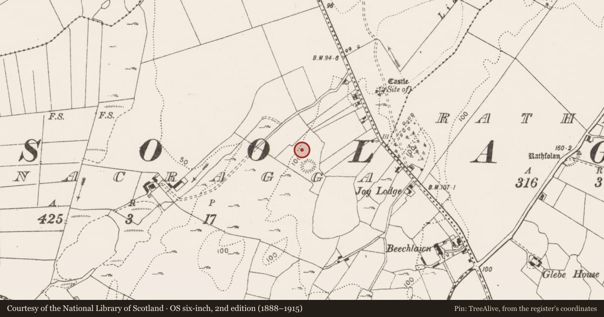 Ordnance Survey six-inch map, 2nd edition (1888–1915) covering the location of Hut site, Ballynacragga, County Clare, with a pin at the register's coordinates