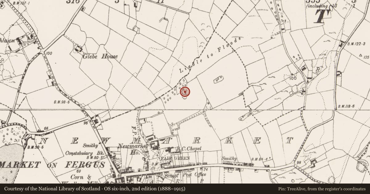Ordnance Survey six-inch map, 2nd edition (1888–1915) covering the location of Ringfort - cashel, Newmarket, County Clare, with a pin at the register's coordinates