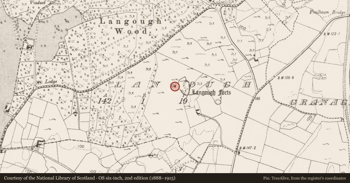 Ordnance Survey six-inch map, 2nd edition (1888–1915) covering the location of Field system, Langough, County Clare, with a pin at the register's coordinates