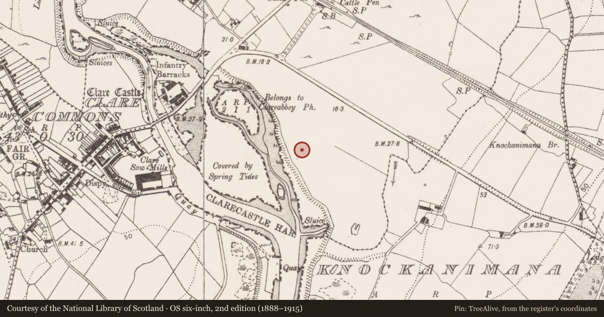 Ordnance Survey six-inch map, 2nd edition (1888–1915) covering the location of Standing stone, Skehanagh, County Clare, with a pin at the register's coordinates