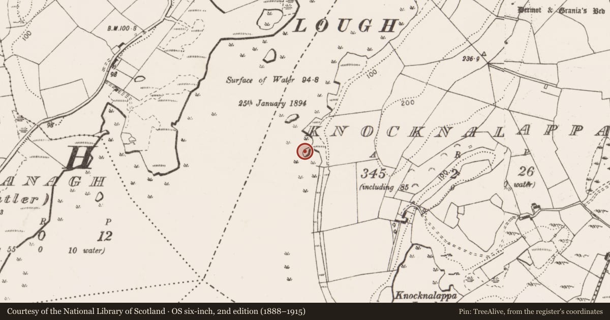 Ordnance Survey six-inch map, 2nd edition (1888–1915) covering the location of Crannog, Knocknalappa, County Clare, with a pin at the register's coordinates